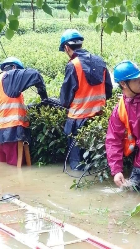 已编辑图片