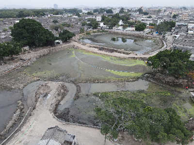 2.龙湖镇古寨林厝池、宫仔池治理前.jpg